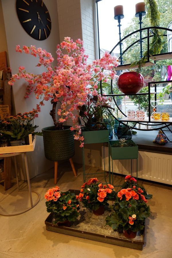 Das Blumenstudio Schönes & Mehr